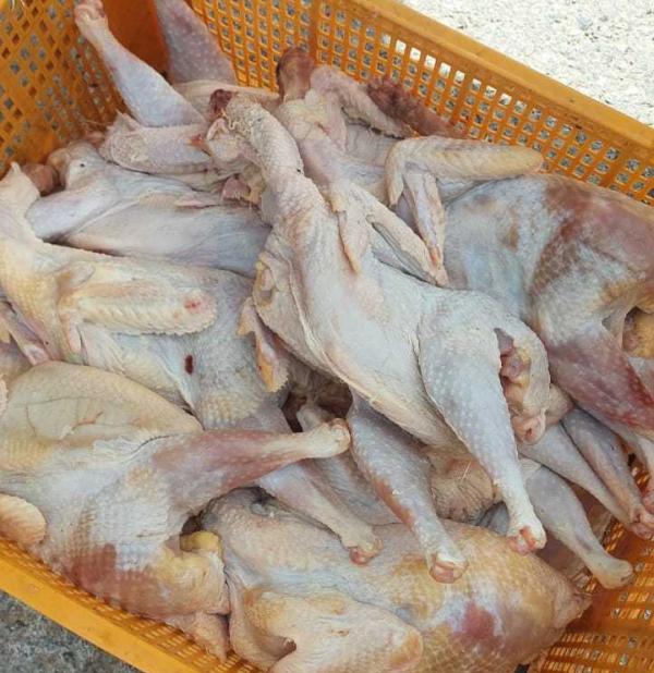 إتلاف 4 أطنان دجاج فاسد بالزرقاء 