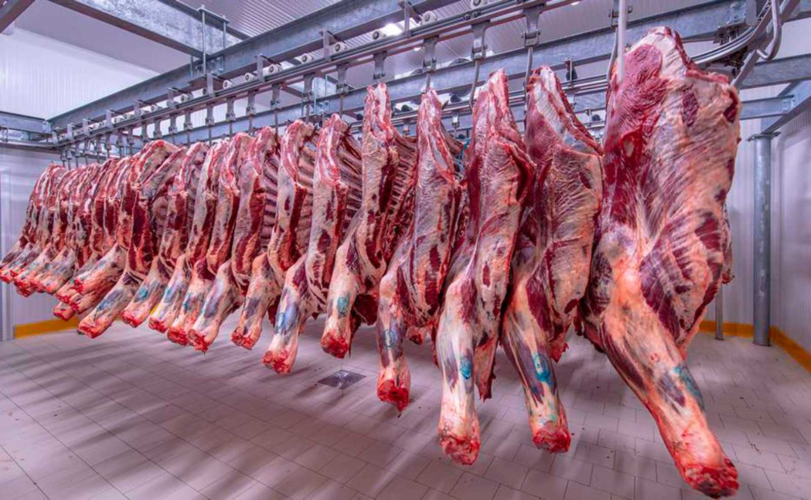 انخفاض الطلب على اللحوم 60%