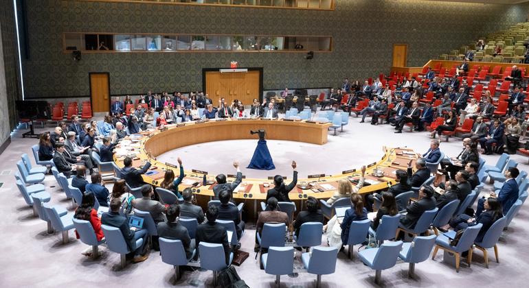 108 شبكة ومنظمة حقوقية لمناشدة مجلس الأمن للتحرك العاجل لوقف الإبادة الجماعية وإنهاء الحصار وإنقاذ الحياة في غزة