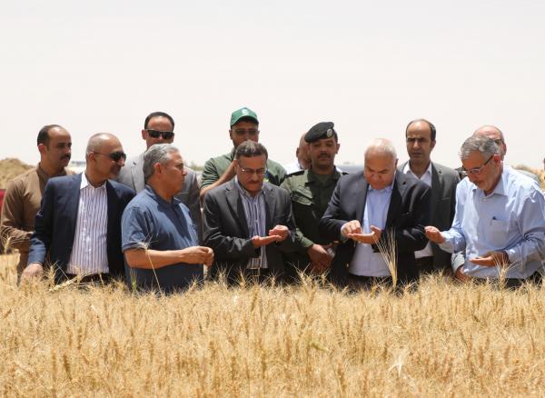 وزير العمل: مشروع 