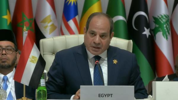 السيسي: إسرائيل تسعى لتحويل المنطقة إلى ساحة مستباحة