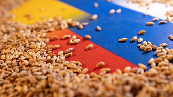 روسيا تخفض رسوم تصدير الحبوب إلى الصفر