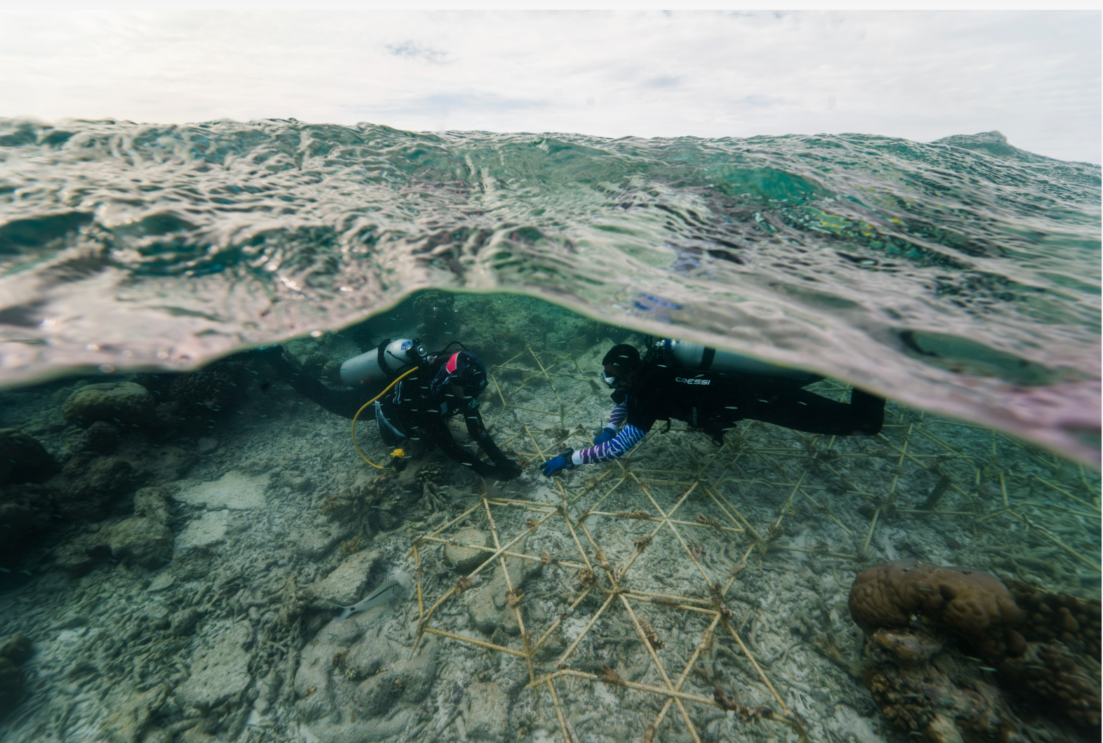 منتجع كونستانس موفوشي في جزر المالديف يتعاون مع منظمة مارس  للحلول المستدامة لإعادة تأهيل الشعاب المرجانية