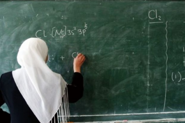 شطناوي: معلمات يتعرضن للتعنيف من طلاب بعد تأنيث الكوادر