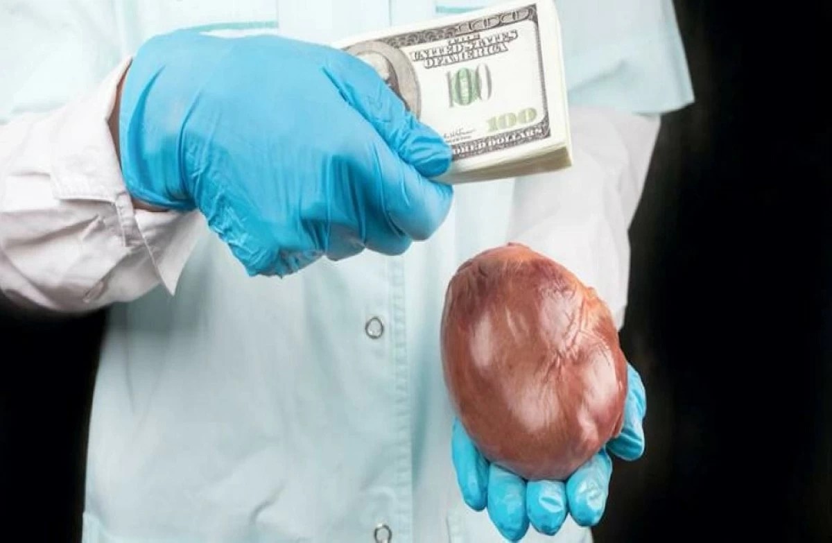 الامن يضبط شخص باع جزء من كبده