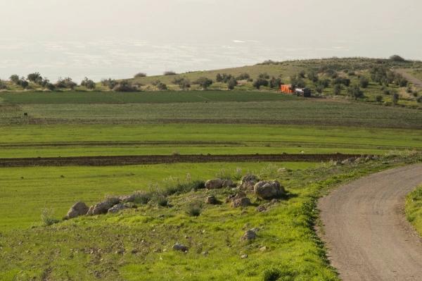 الزراعة: أمطار الخير تعزز الإنتاج الزراعي وتدعم الثروة النباتية