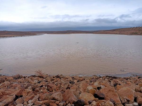 مختصون: امتلاء السدود فرصة مائية وزراعية واعدة