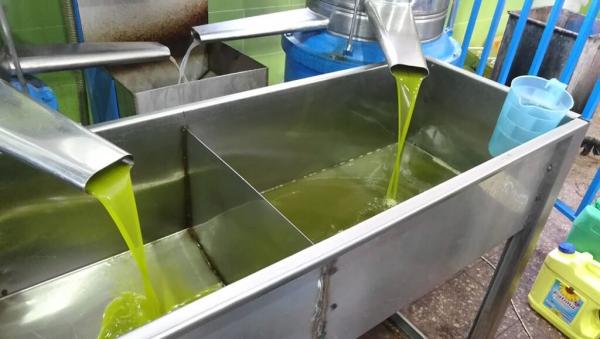 وصول الدفعة الاولى من زيت الزيتون التونسي