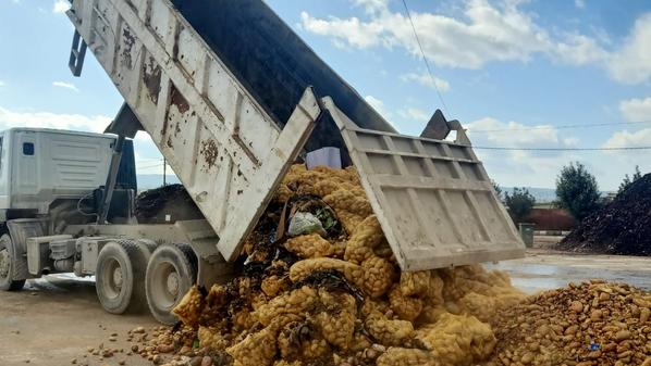 إتلاف 16 طن بطاطا غير صالحة للاستهلاك في إربد