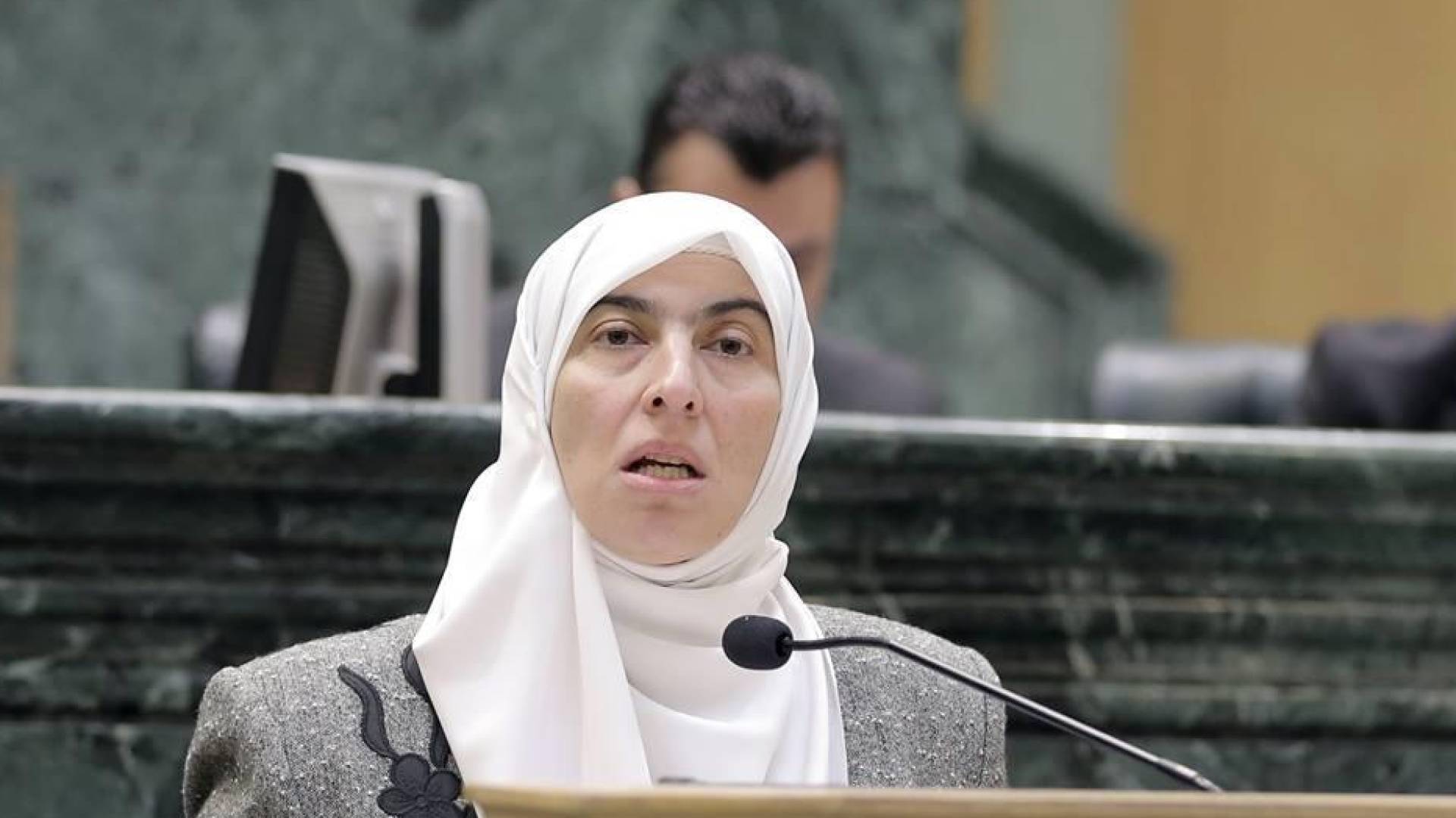 ما هي النفقات والايرادات المدرجة تحت بند 