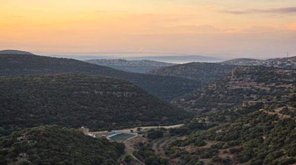 الامطار في الأردن .. عودة أنواع نباتات مفقودة وخريطة جديدة للمشهد البيئي