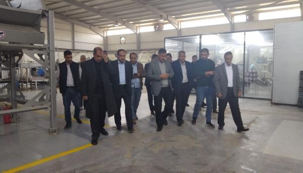 محافظ البلقاء يتفقد مشاريع استثمارية وخدمية في دير علا