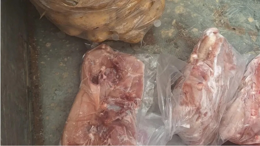 إتلاف 240 كغم دجاج مجمد مجهول المصدر داخل مركبة في اربد