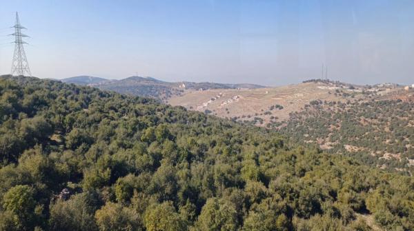 دعوات لتعزيز الوعي المجتمعي لحماية الثروة الحرجية في عجلون