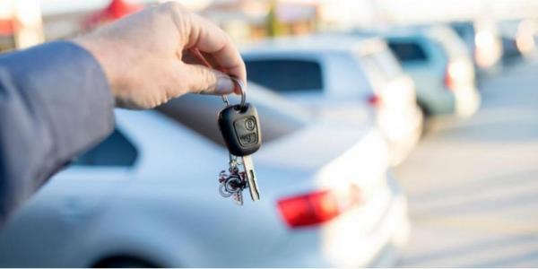 حماية قطاع السيارات السياحية من النمر البيضاء أولى من إرهاقه بالنصف مليون