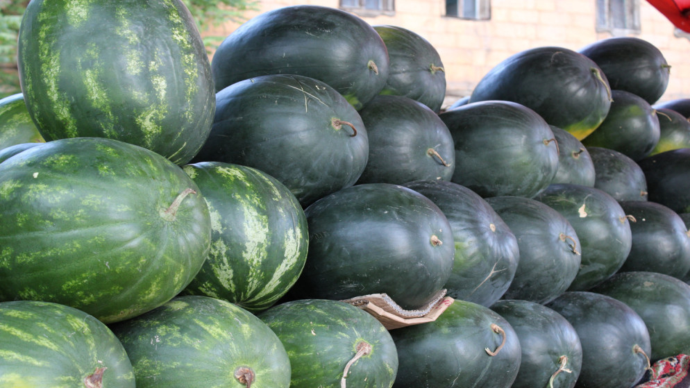 أمانة عمّان تبدأ استقبال طلبات تصاريح بيع البطيخ والشمام إلكترونياً