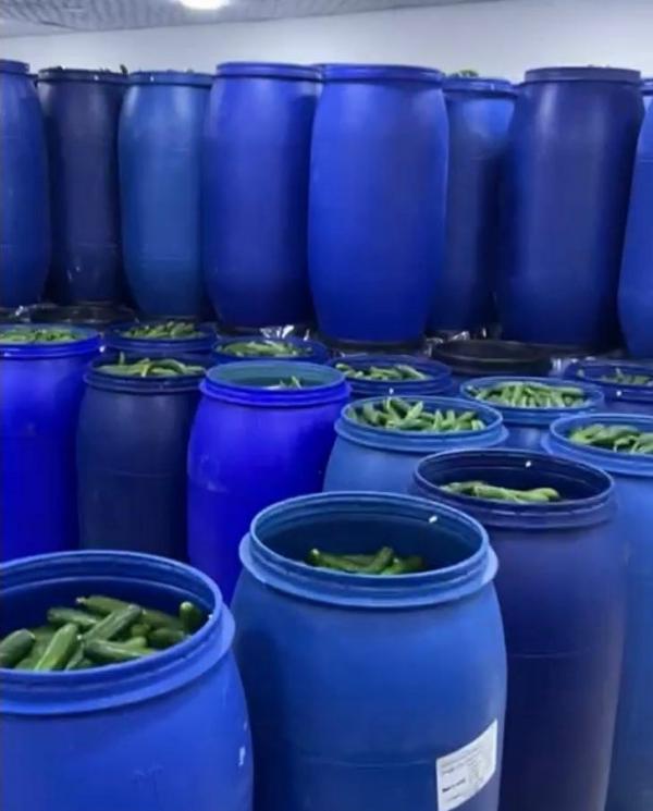 الغذاء والدواء تغلق مشغل مخللات غير مرخّص وتحجز 70 طنا