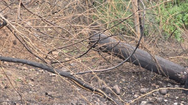 سقوط شظايا يتسبب بانقطاع الكهرباء عن مناطق في الأغوار الشمالية