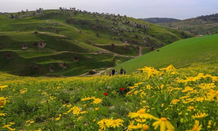 إقبال سياحي لافت على المواقع الأثرية والطبيعية في إربد