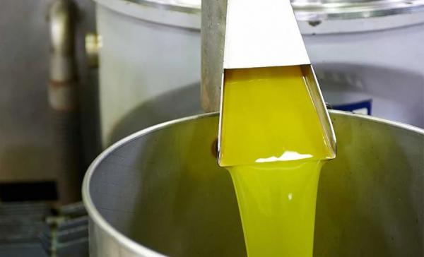 بعد موسم ضعيف وغلاء أسعاره .. ماذا ينتظر زيت الزيتون العام الحالي؟