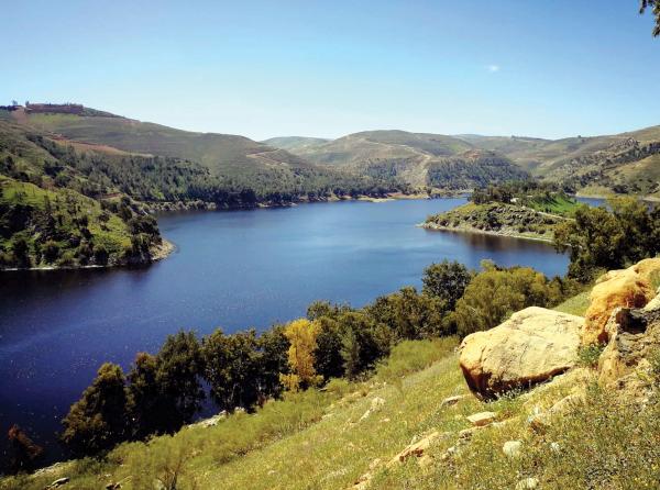 الموسم المطري الأفضل خلال 10 سنوات .. هل تُحل أزمة الأردن المائية؟