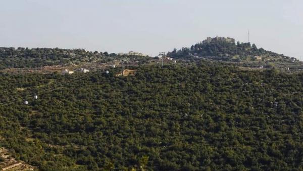 محمية غابات عجلون ومساراتها الجبلية تعزز السياحة البيئية المستدامة