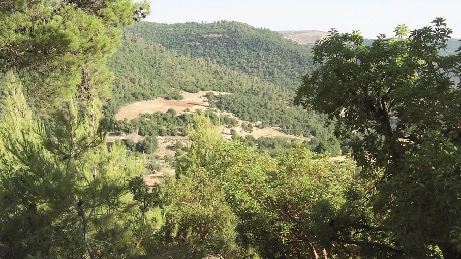 السياحة البيئية .. نموذج تنموي يستثمر الموارد الطبيعية دون استنزافها