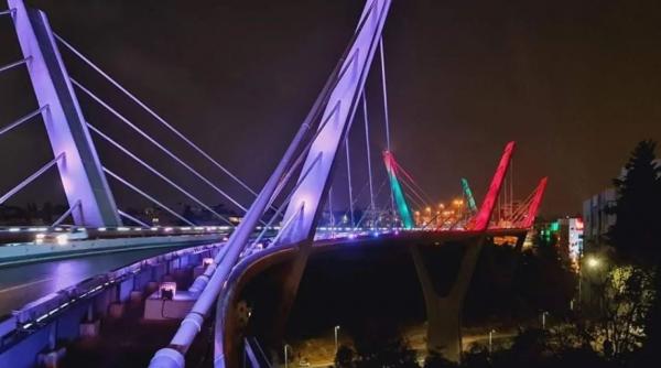 مسعد يدافع عن جسر عبدون .. ويطالب بهواتف للدعم نفسي