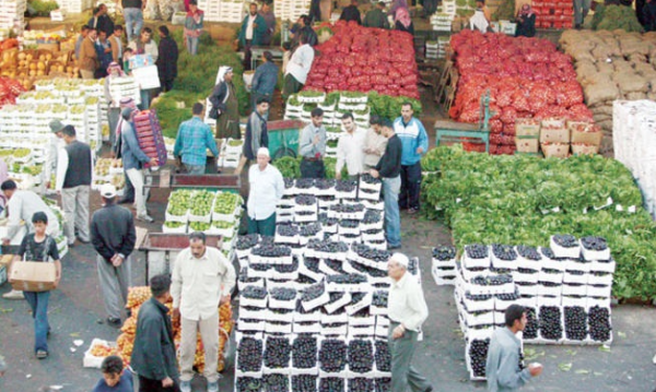 الزراعة: مكاتب في الأسواق لتطبيق المواصفات والمقاييس على المنتجات