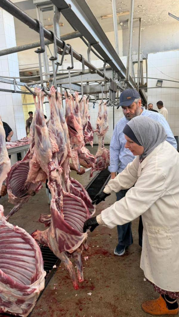 بلدية المفرق تكثف حملاتها الرقابية والصحية على أماكن بيع الأضاحي