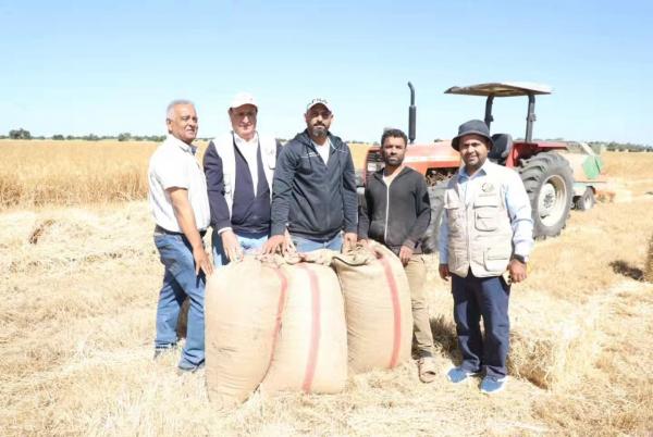الرواشدة يرعى حصاد القمح لمشروع اكثار البذور الوطني