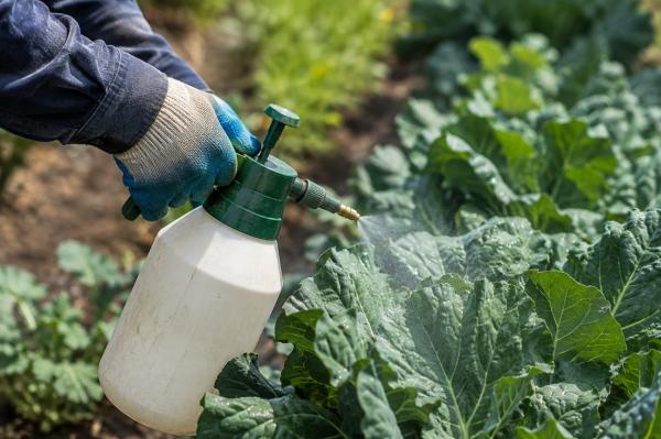 متخصصون يحذرون من الإفراط في استخدام المبيدات الزراعية