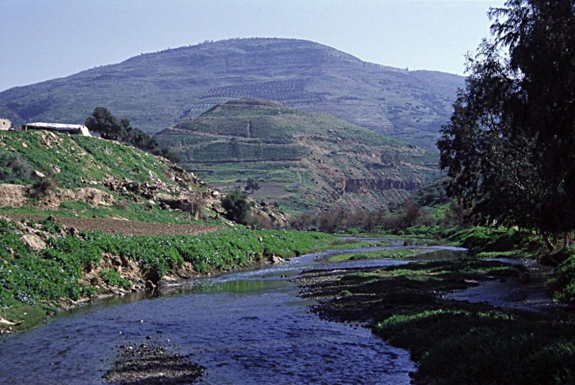 وادي الزرقاء نموذج مهم للثروة الأحفورية
